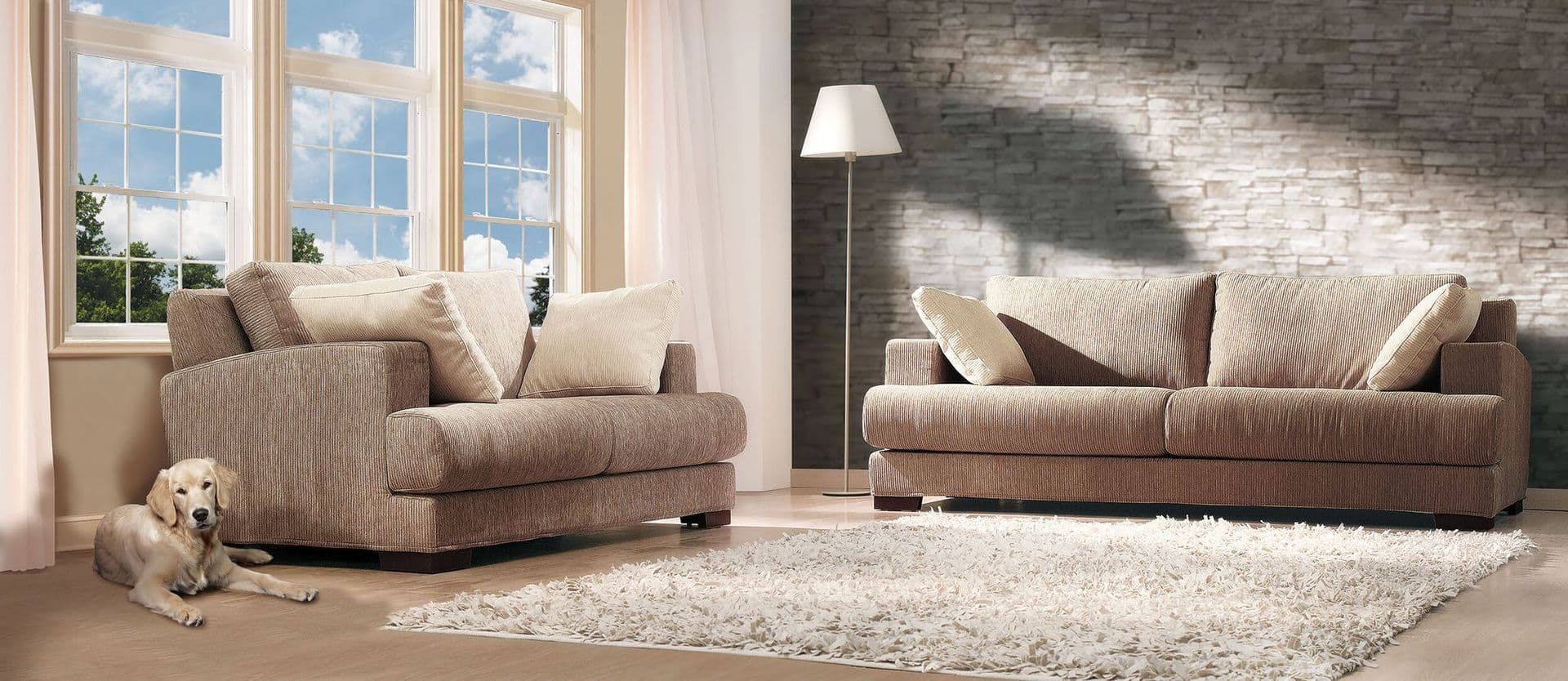 Double Hung Windows