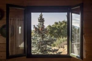 View-Of-The-Mountains-Spruce